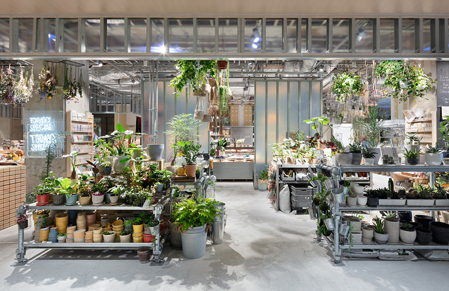 A New Chapter Unveiled: TODAY'S SPECIAL Ebisu Store Redefining Retail